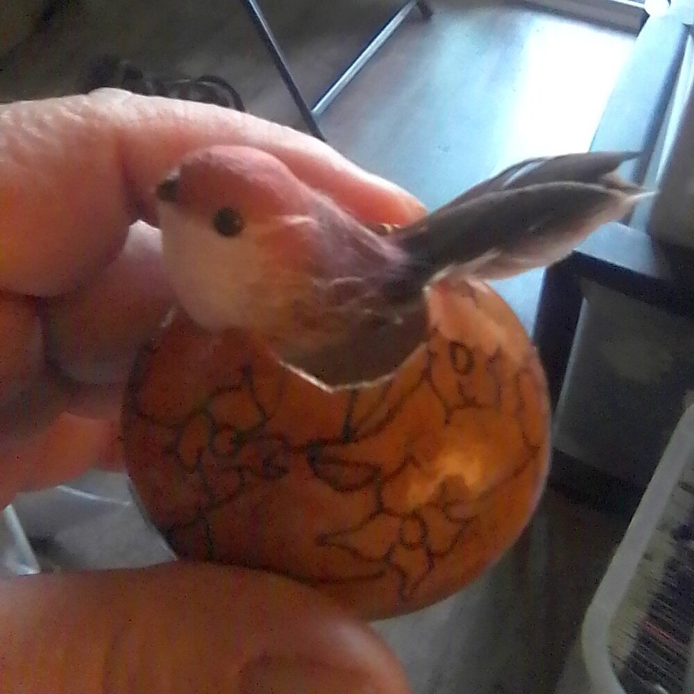 bird in cracked "egg"